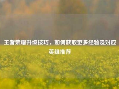 王者荣耀升级技巧，如何获取更多经验及对应英雄推荐