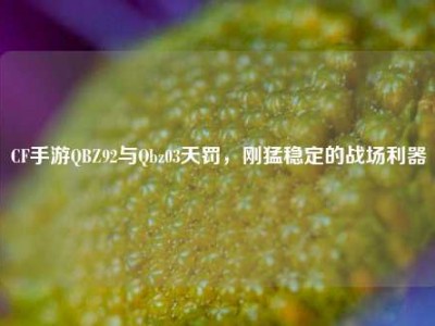 CF手游QBZ92与Qbz03天罚，刚猛稳定的战场利器