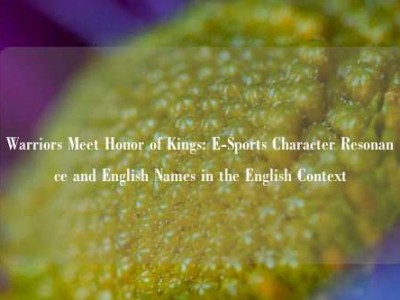 Warriors Meet Honor of Kings: E-Sports Character Resonance and English Names in the English Context