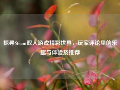 探寻Steam双人游戏精彩世界，玩家评论里的乐趣与体验及推荐