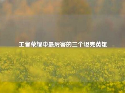 王者荣耀中最厉害的三个坦克英雄
