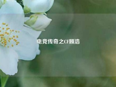 电竞传奇之CF顾浩