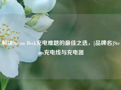解决Steam Deck充电难题的最佳之选，[品牌名]Steam充电线与充电器