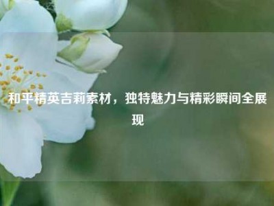 和平精英吉莉素材，独特魅力与精彩瞬间全展现