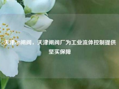 天津cf8闸阀，天津闸阀厂为工业流体控制提供坚实保障