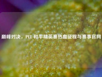 巅峰对决，PEL 和平精英赛热血征程与赛事官网