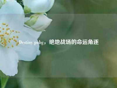 Destiny pubg，绝地战场的命运角逐