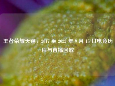 王者荣耀天赐，2017 至 2022 年 9 月 15 日电竞历程与直播回放