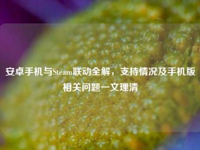 安卓手机与Steam联动全解，支持情况及手机版相关问题一文理清