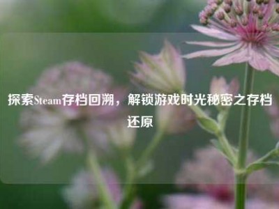 探索Steam存档回溯，解锁游戏时光秘密之存档还原