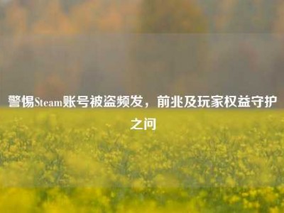 警惕Steam账号被盗频发，前兆及玩家权益守护之问