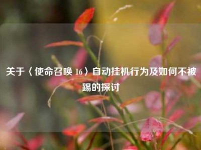 关于〈使命召唤 16〉自动挂机行为及如何不被踢的探讨