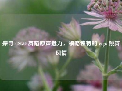 探寻 CSGO 舞蹈原声魅力，领略独特的 csgo 跳舞风情