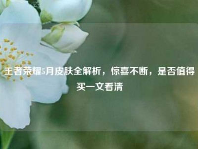 王者荣耀5月皮肤全解析，惊喜不断，是否值得买一文看清