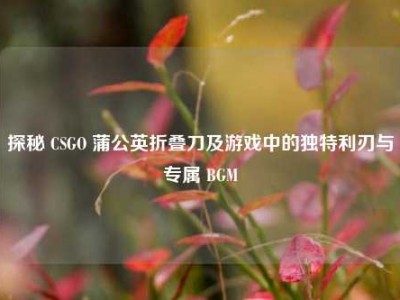 探秘 CSGO 蒲公英折叠刀及游戏中的独特利刃与专属 BGM
