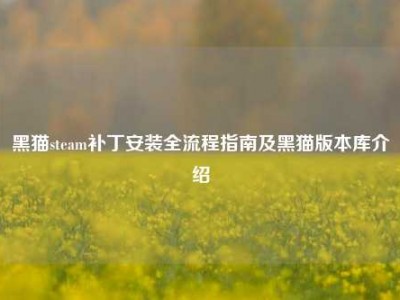黑猫steam补丁安装全流程指南及黑猫版本库介绍