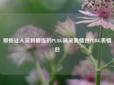 那些让人笑到喷饭的PUBG搞笑表情包PUBG表情包