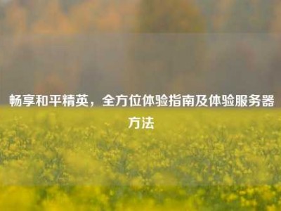 畅享和平精英，全方位体验指南及体验服务器方法
