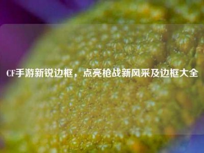 CF手游新锐边框，点亮枪战新风采及边框大全