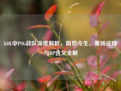 LOL中PSG战队深度解析，前世今生、赛场征程与BP含义全解