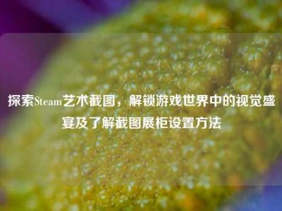 探索Steam艺术截图，解锁游戏世界中的视觉盛宴及了解截图展柜设置方法