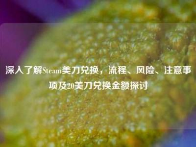 深入了解Steam美刀兑换，流程、风险、注意事项及20美刀兑换金额探讨