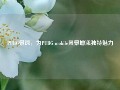 PUBG景深，为PUBG mobile风景增添独特魅力