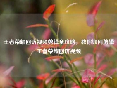 王者荣耀回访视频剪辑全攻略，教你如何剪辑王者荣耀回访视频