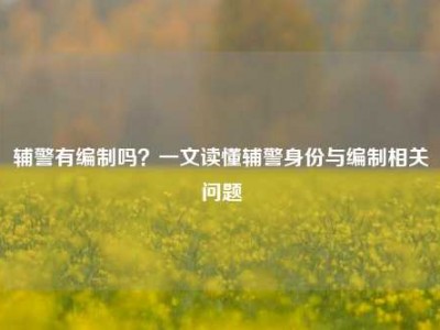 辅警有编制吗？一文读懂辅警身份与编制相关问题