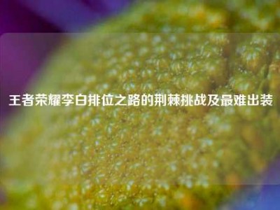 王者荣耀李白排位之路的荆棘挑战及最难出装