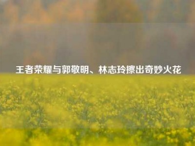 王者荣耀与郭敬明、林志玲擦出奇妙火花