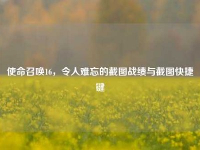 使命召唤16，令人难忘的截图战绩与截图快捷键
