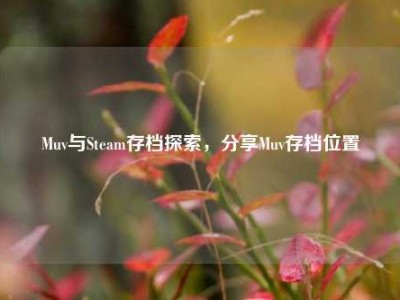 Muv与Steam存档探索，分享Muv存档位置