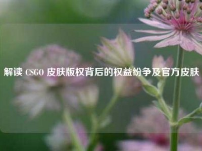 解读 CSGO 皮肤版权背后的权益纷争及官方皮肤