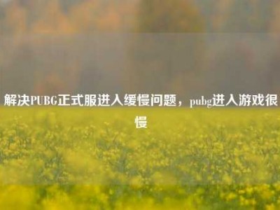 解决PUBG正式服进入缓慢问题，pubg进入游戏很慢
