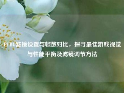 PUBG滤镜设置与帧数对比，探寻最佳游戏视觉与性能平衡及滤镜调节方法