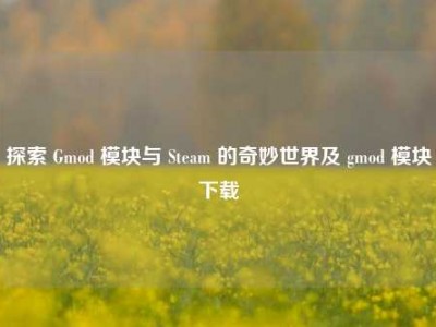 探索 Gmod 模块与 Steam 的奇妙世界及 gmod 模块下载