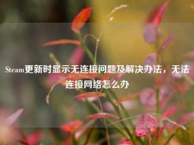 Steam更新时显示无连接问题及解决办法，无法连接网络怎么办