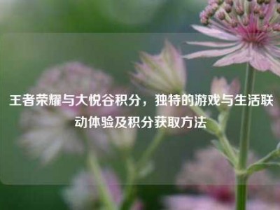 王者荣耀与大悦谷积分，独特的游戏与生活联动体验及积分获取方法