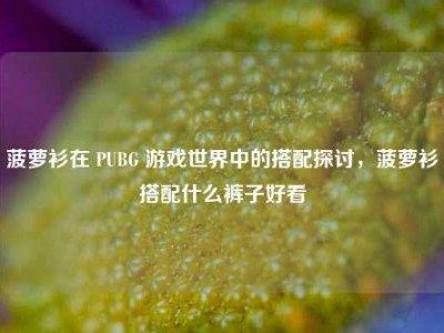 菠萝衫在 PUBG 游戏世界中的搭配探讨，菠萝衫搭配什么裤子好看