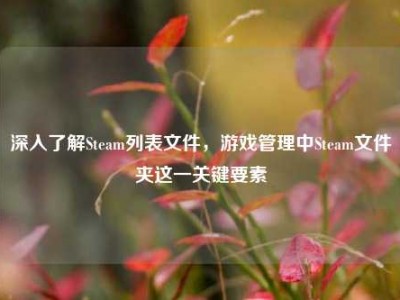 深入了解Steam列表文件，游戏管理中Steam文件夹这一关键要素