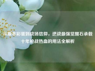 从版本彩蛋到战场信仰，逆战最强觉醒石承载十年枪战热血的用法全解析