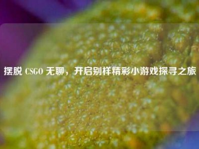 摆脱 CSGO 无聊，开启别样精彩小游戏探寻之旅