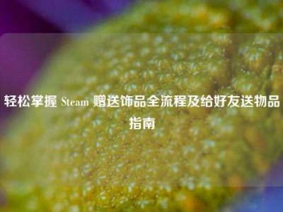 轻松掌握 Steam 赠送饰品全流程及给好友送物品指南