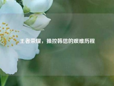 王者荣耀，操控韩信的艰难历程