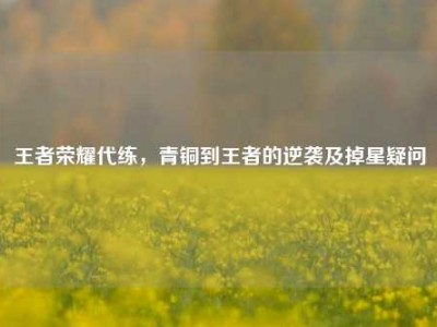 王者荣耀代练，青铜到王者的逆袭及掉星疑问