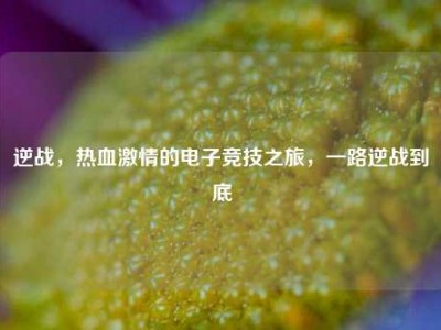逆战，热血激情的电子竞技之旅，一路逆战到底