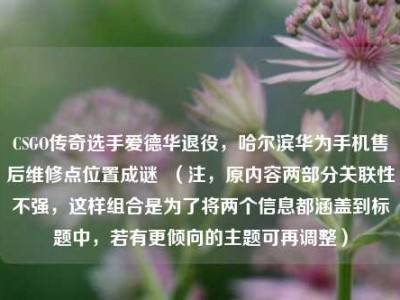 CSGO传奇选手爱德华退役，哈尔滨华为手机售后维修点位置成谜  （注，原内容两部分关联性不强，这样组合是为了将两个信息都涵盖到标题中，若有更倾向的主题可再调整）