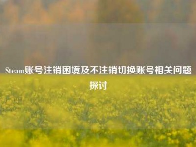 Steam账号注销困境及不注销切换账号相关问题探讨