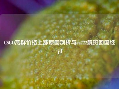 CSGO燕群价格上涨原因剖析与ca722航班回国经过